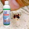 1731927929-IMG-20231031-WA00632 Bed Bug Control